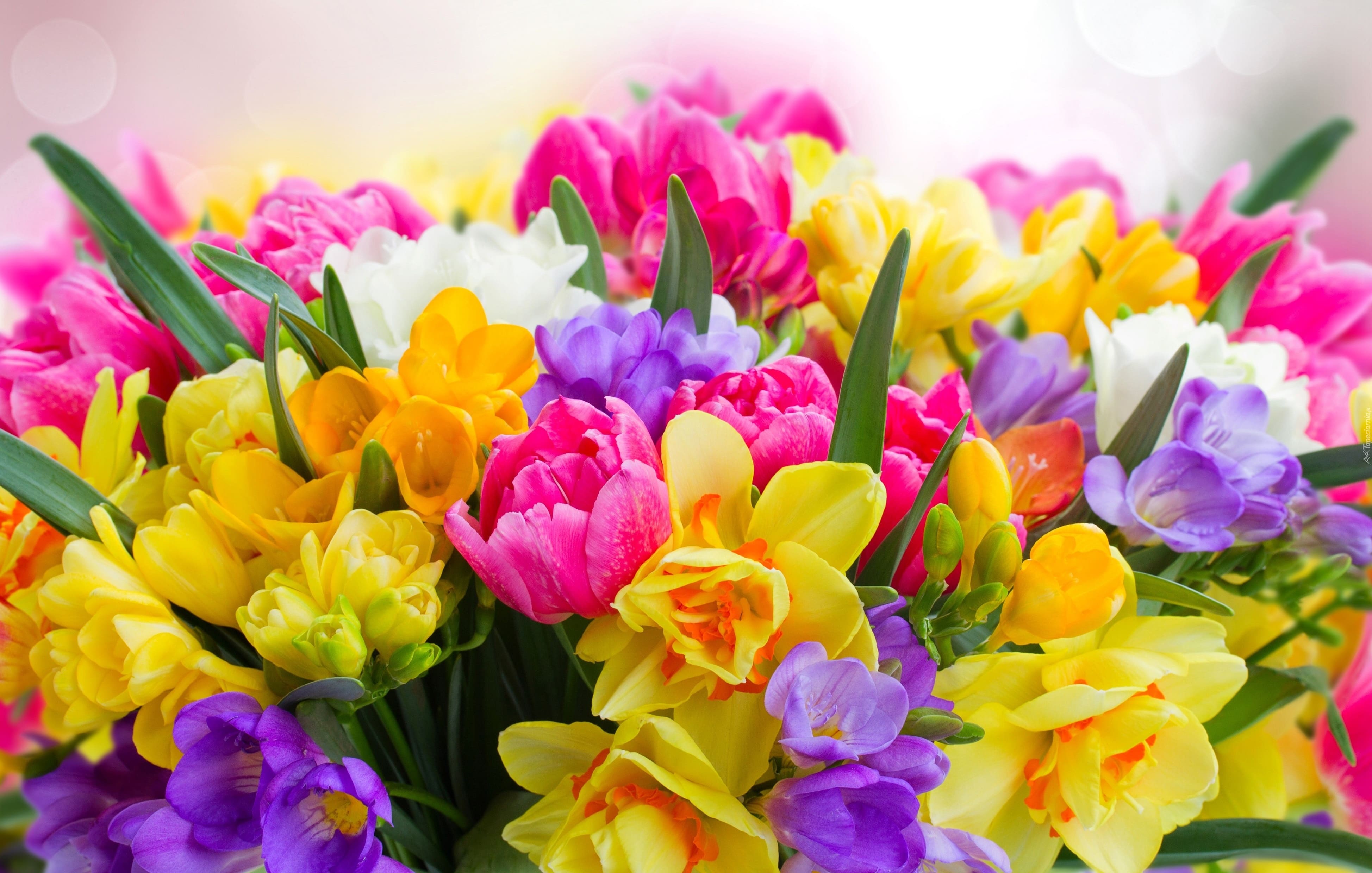 2017Nature Flowers Beautiful big bouquet of spring flowers 114310 1