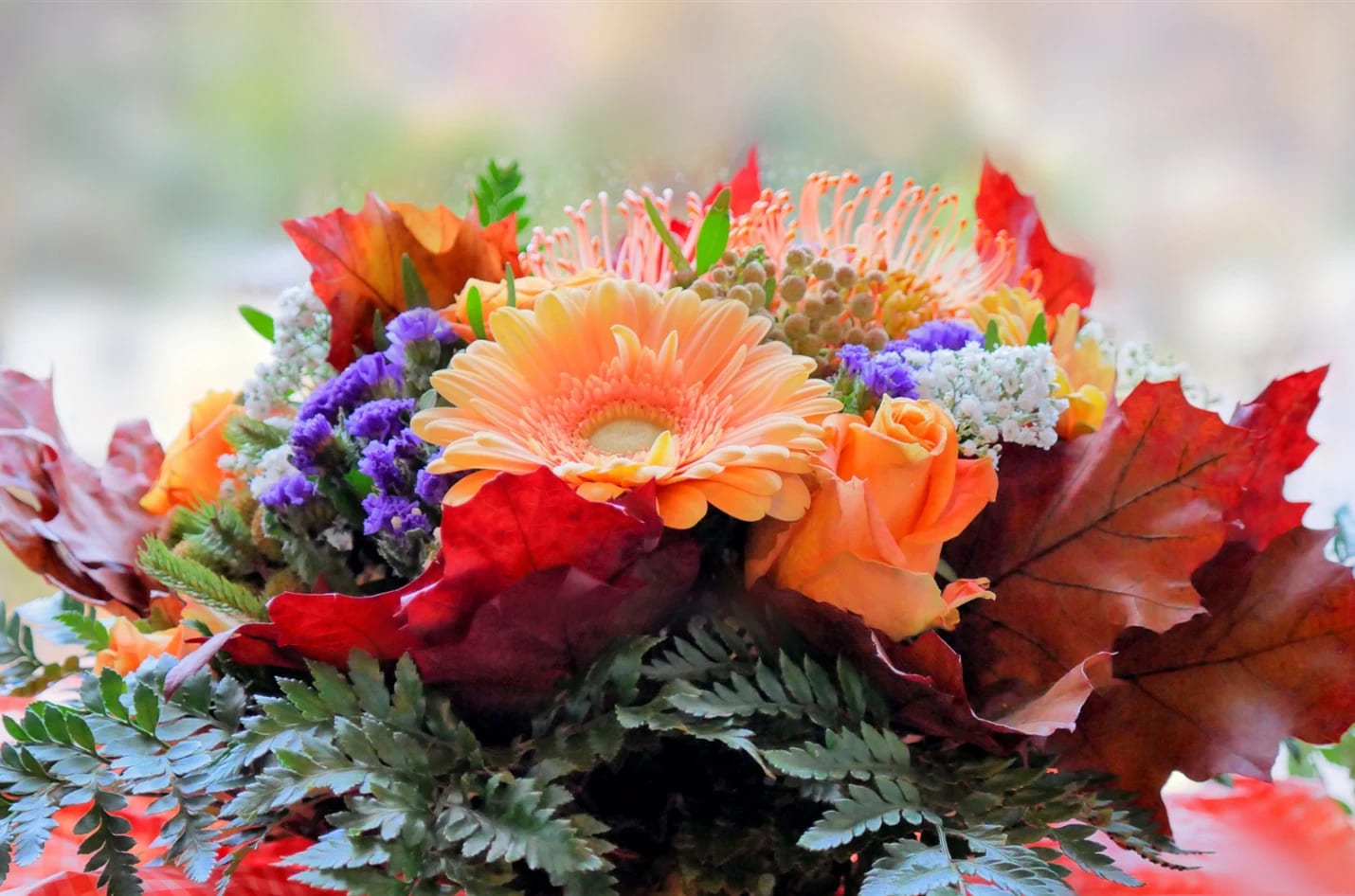 f9f4a23d2c724430882786e61adb6187 33505 1430x946 1